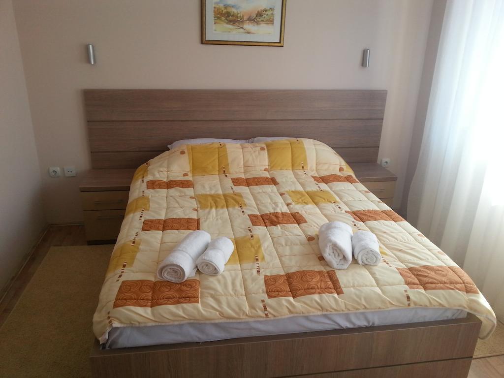 Garni Hotel Crystal Ice Ni Rum bild